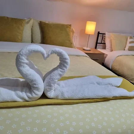 Apartment Be Our Guest! Stylish-free Parking-central Location